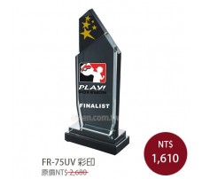 FR-75UV彩印水晶獎牌