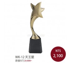 WK-12金屬獎座 天王星