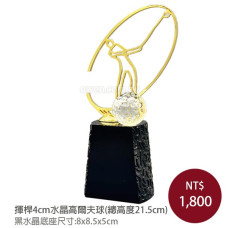 FA-06金屬高爾夫(揮桿) 一桿進洞