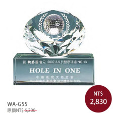 WA-G55 高爾夫球 