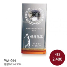 WA-G64 高爾夫球