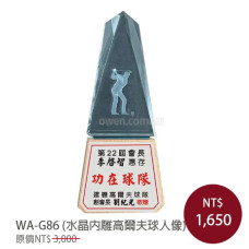 WA-G86木質獎牌