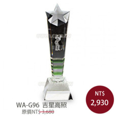 WA-G96 高爾夫球