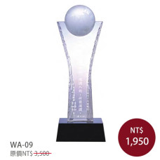 WA-09光輝水晶獎牌