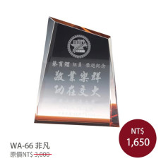 WA-66 水晶獎牌(非凡) 