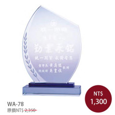 WA-78水晶獎牌