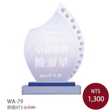 WA-79水晶獎牌