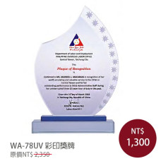 WA-79UV 彩印水晶獎牌