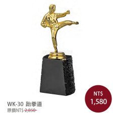 WK-30金屬獎盃 跆拳道