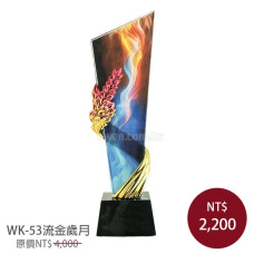 WK-53炫彩獎盃 流金歲月