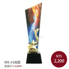 WK-54炫彩獎盃 流星